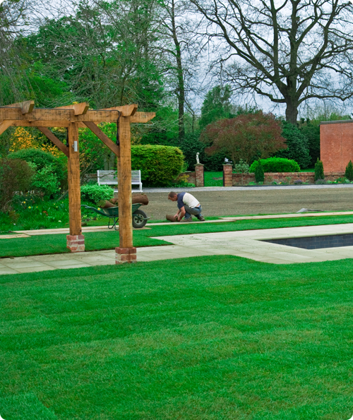 Teal Turf - laying Turf image